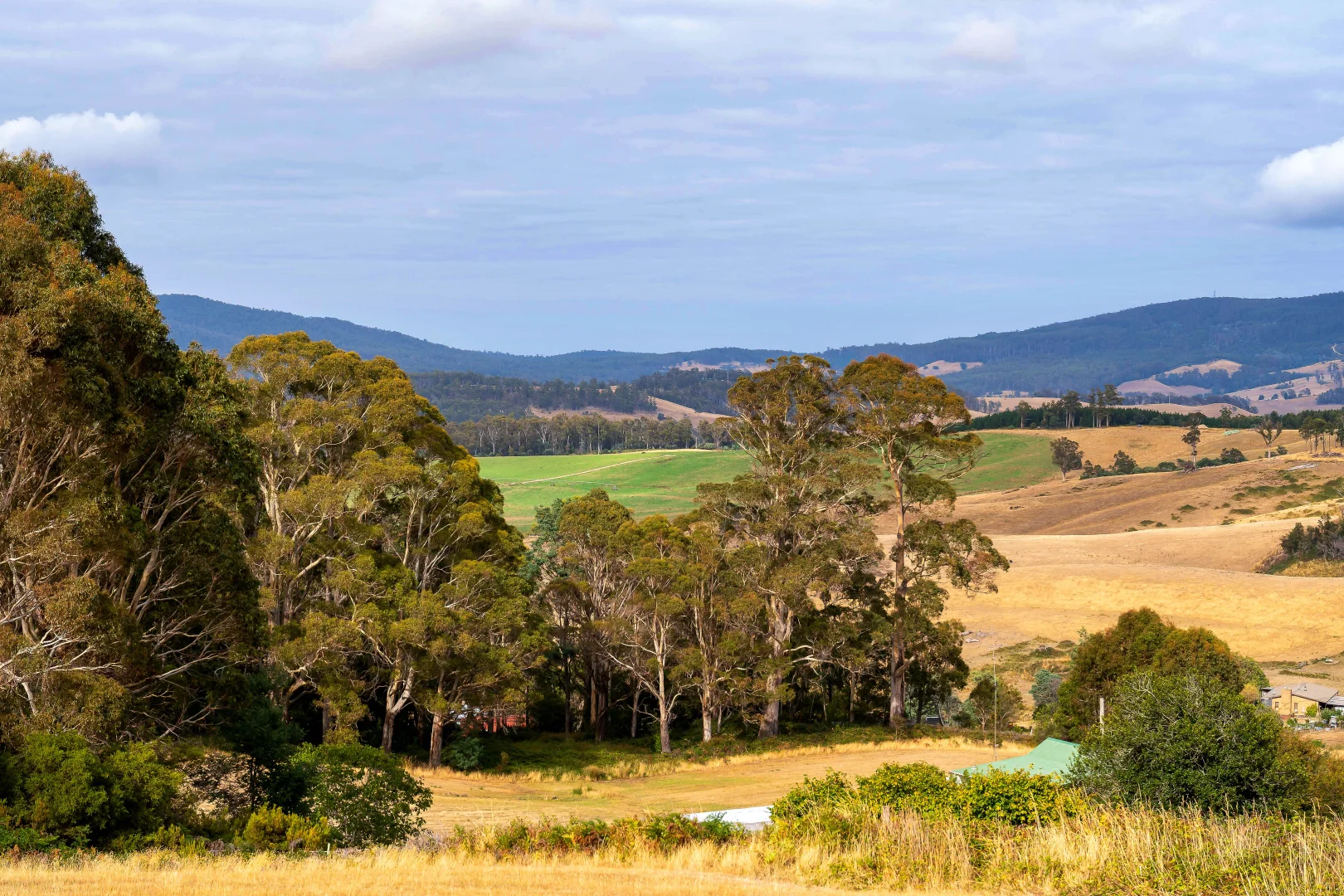 Additional image 8 of 364 Golconda Road, Lilydale TAS 7268