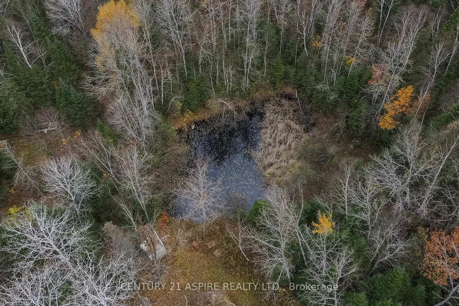 Additional image 11 of 129 Mullen Road