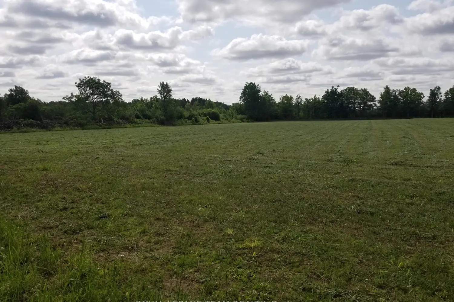 Additional image 8 of 0000 Scrivens Drive