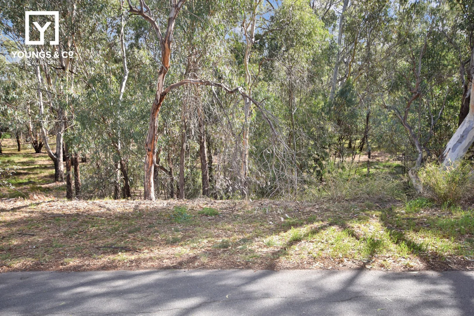 231 The Boulevard, Shepparton VIC 3630 photo 3