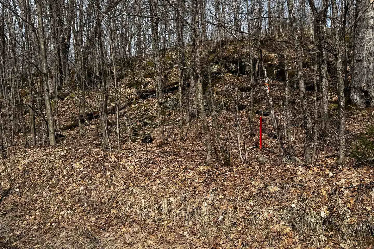 Additional image 14 of Lot 2 Lorimer Lake Road