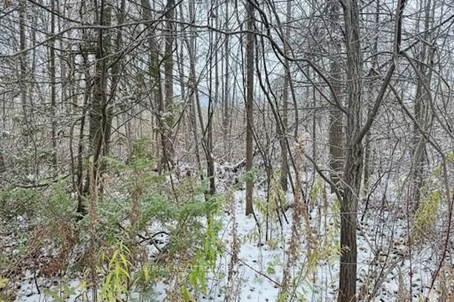 0 Taylorwoods Boulevard photo 2