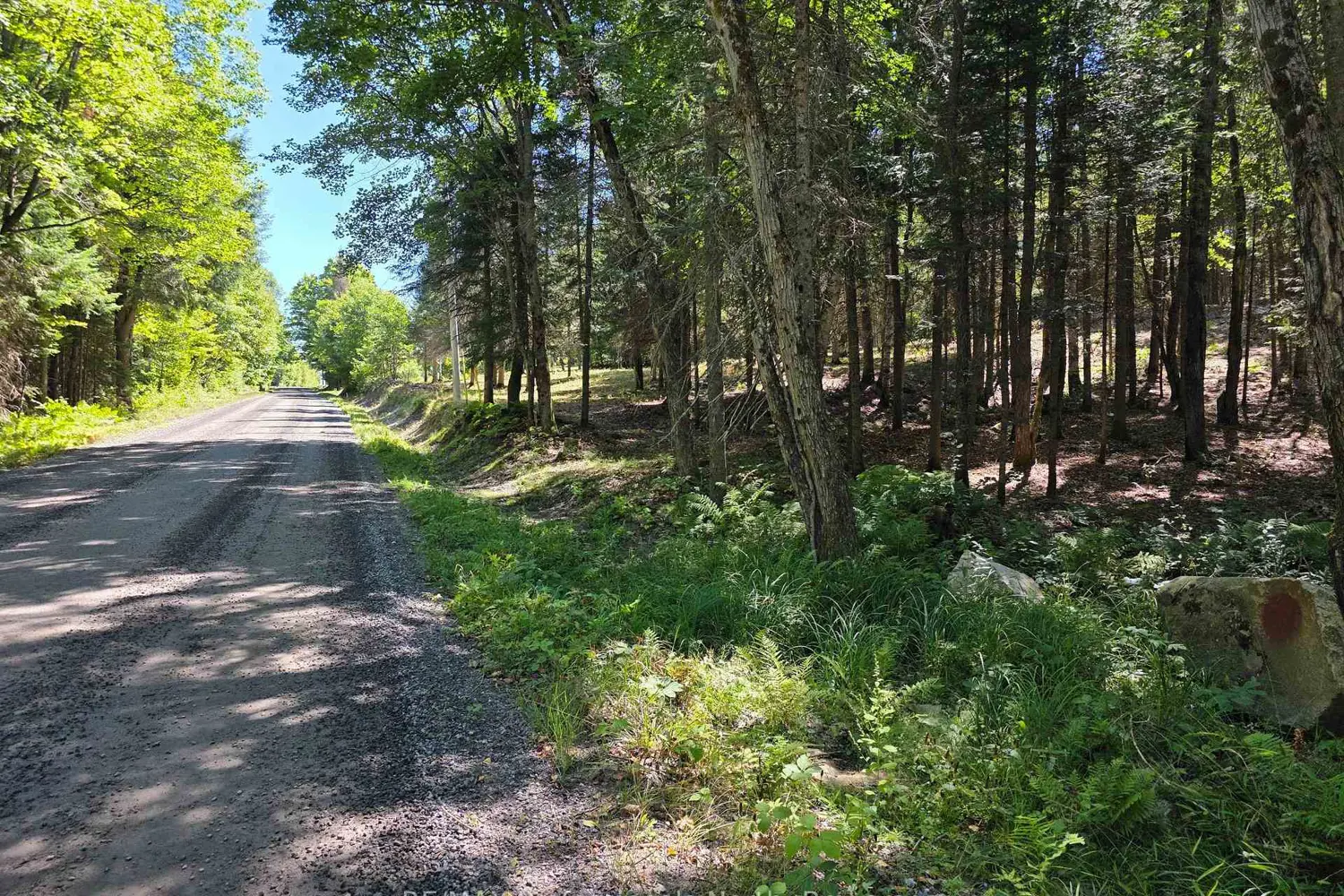 Additional image 3 of 00 Whitney Road