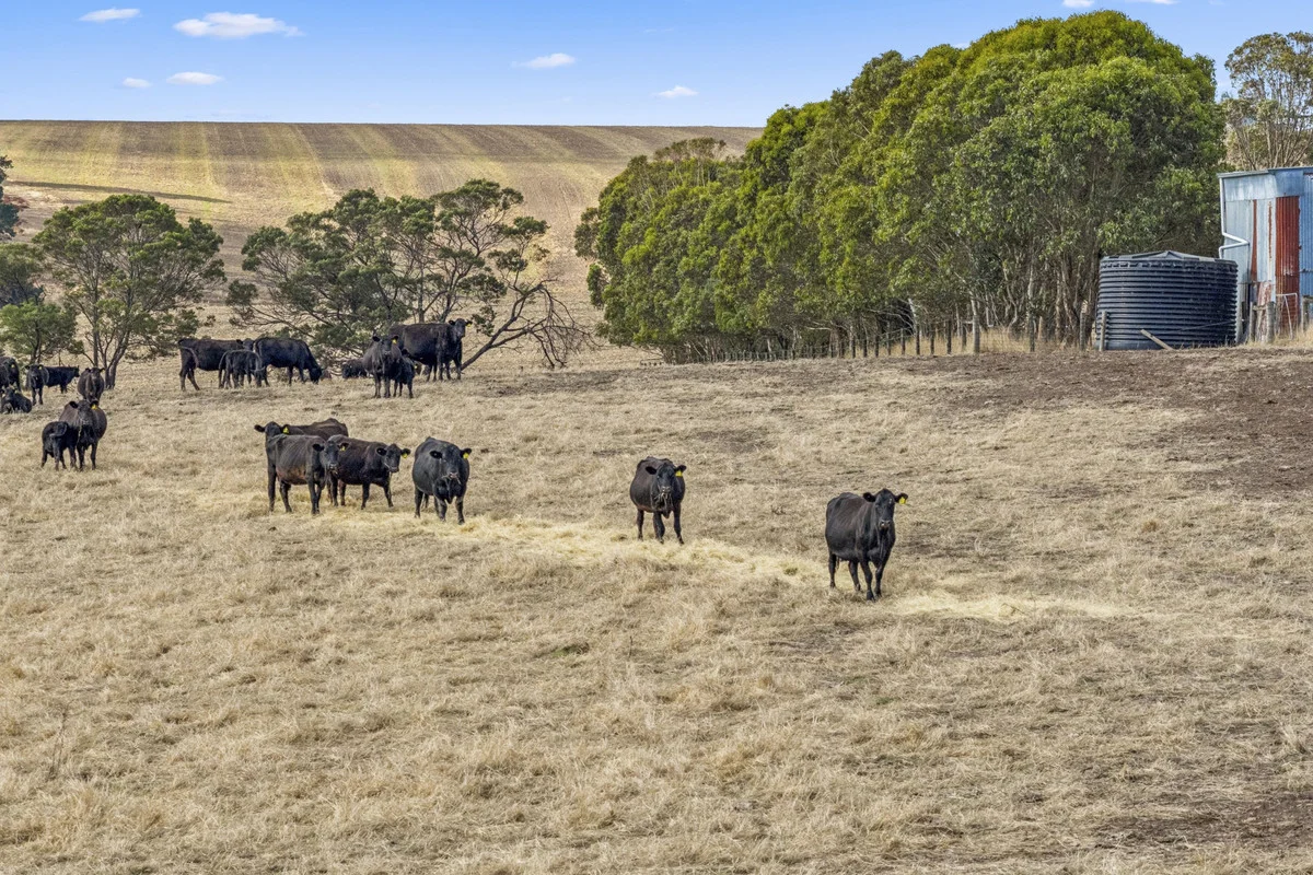 Additional image 18 of 55 Wineshanty Road, Barwon Downs VIC 3243