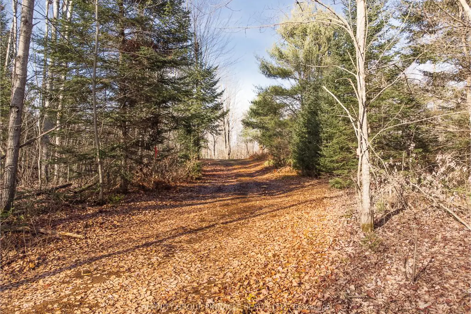 Lot 8 Comfort Drive photo 5