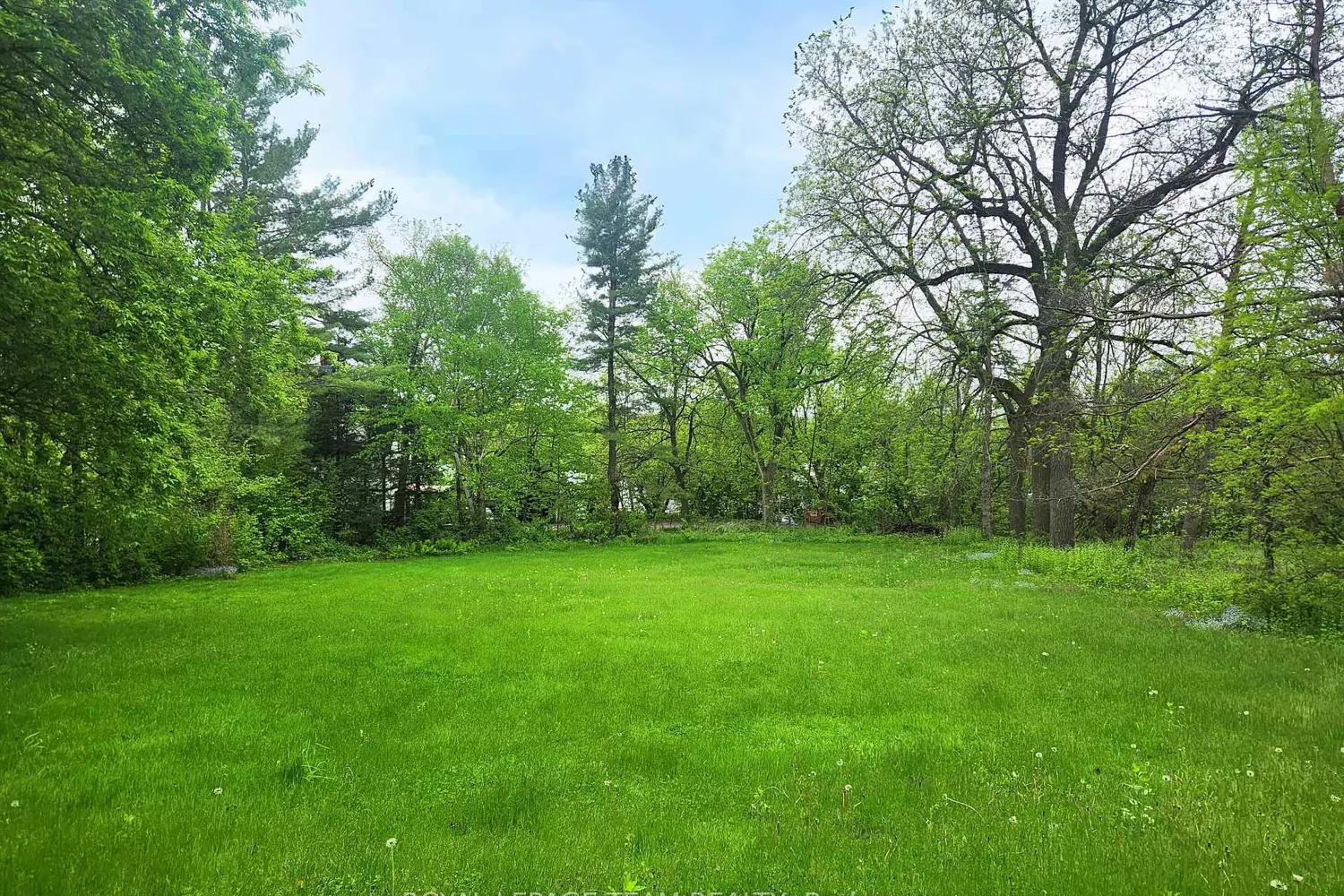 Additional image 11 of 3787 Carp Road