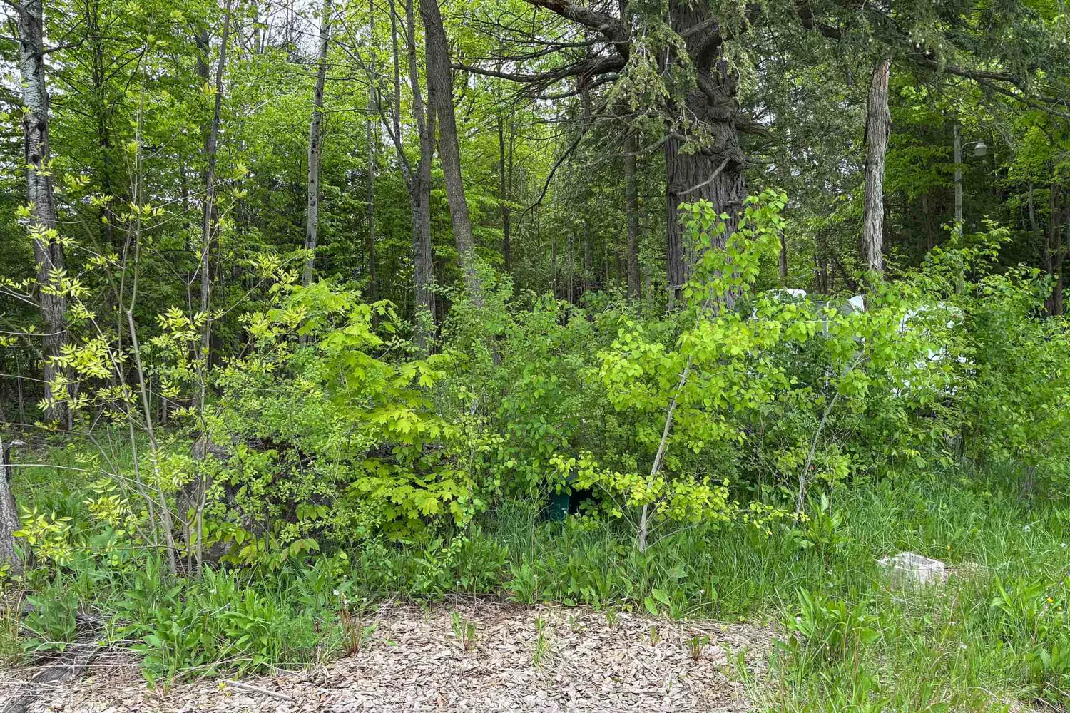 Additional image 3 of 104264 Grey Road 18