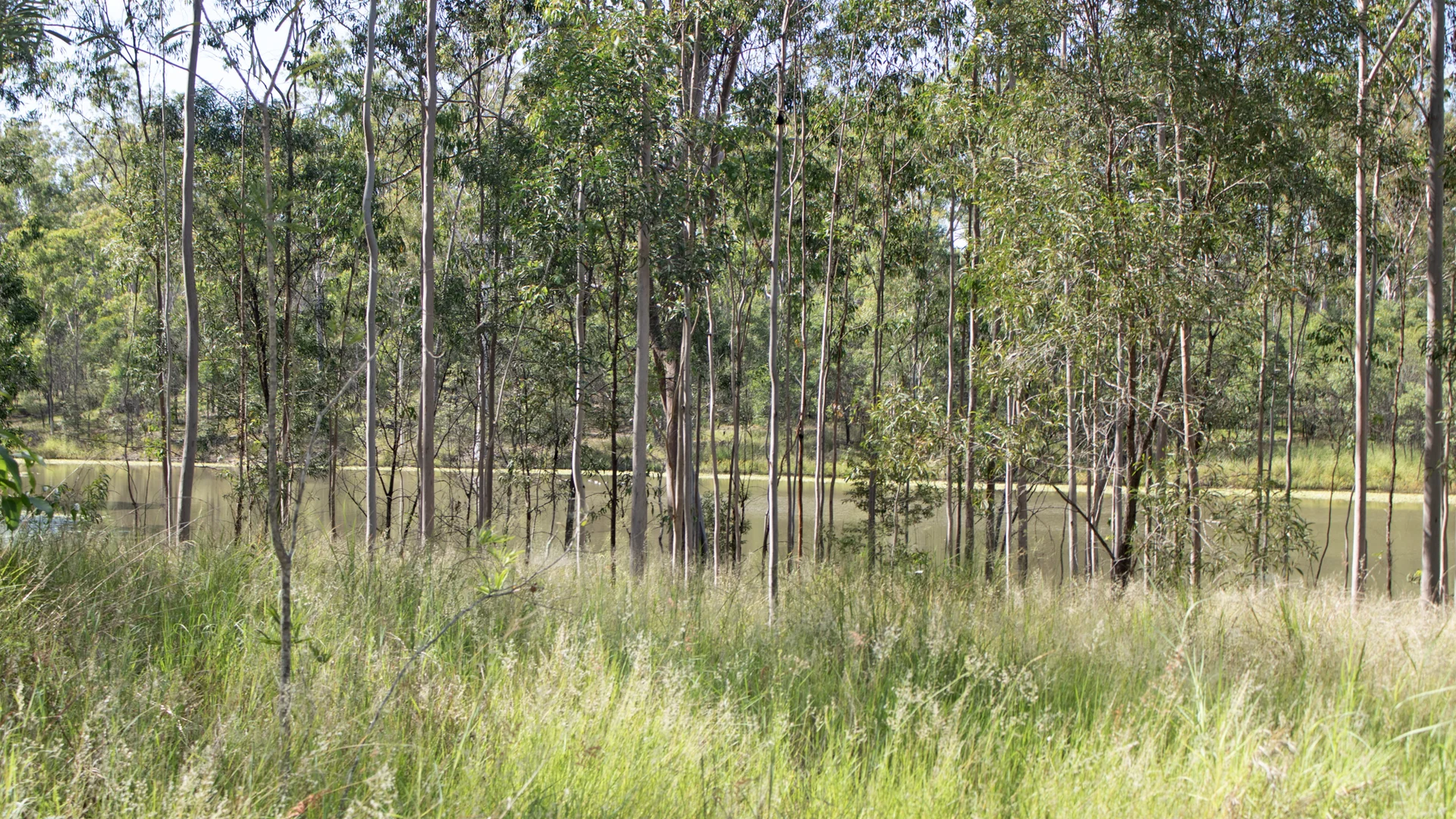 Lot 1/MPH22655 Burnett Highway, Eidsvold QLD 4627 photo 2