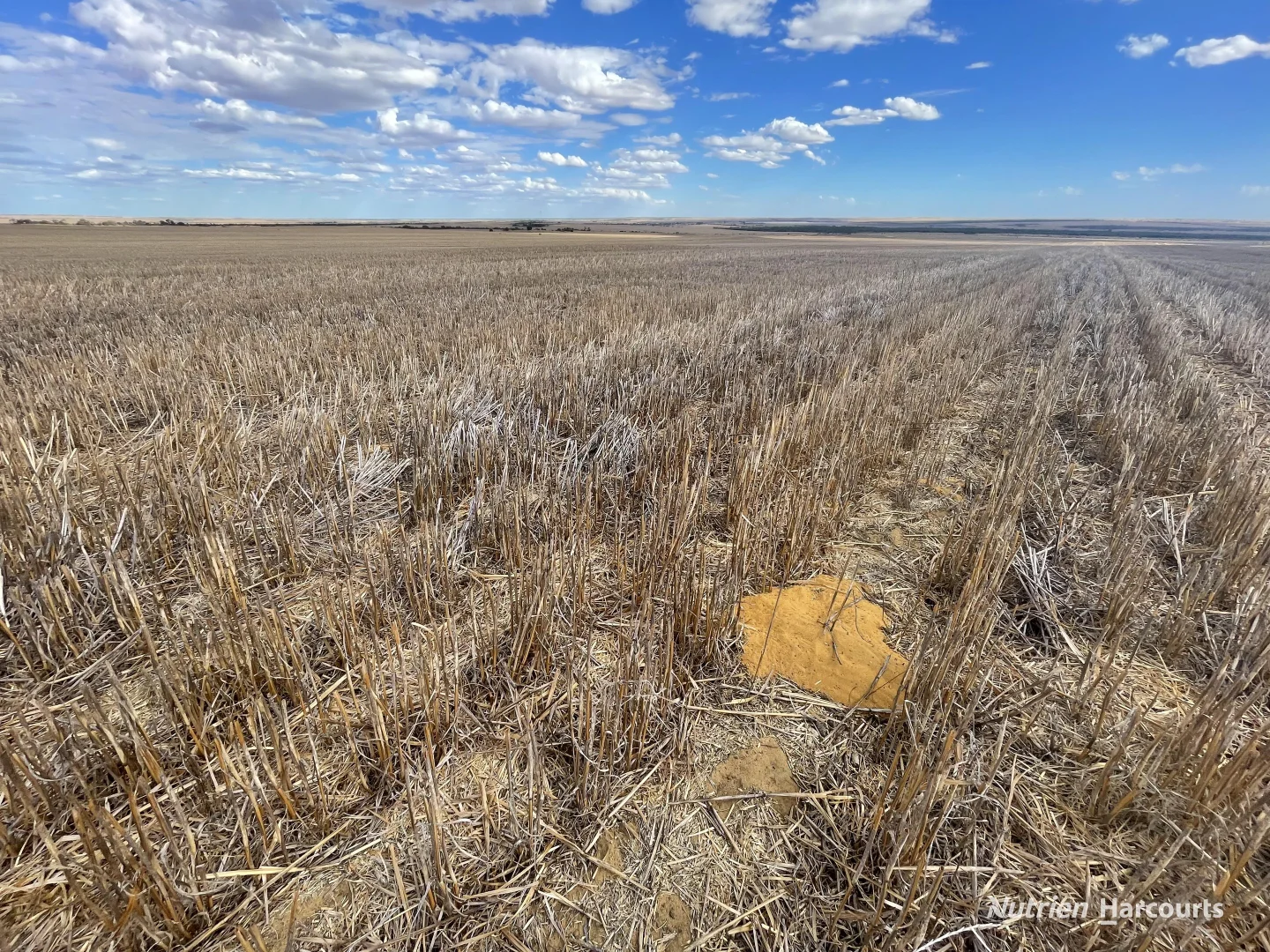 Additional image 5 of . McRoberts Road, Tenindewa WA 6632