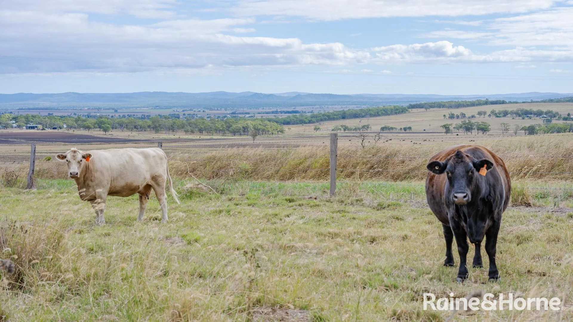 Additional image 13 of 104 Gillespie Road, Freestone QLD 4370