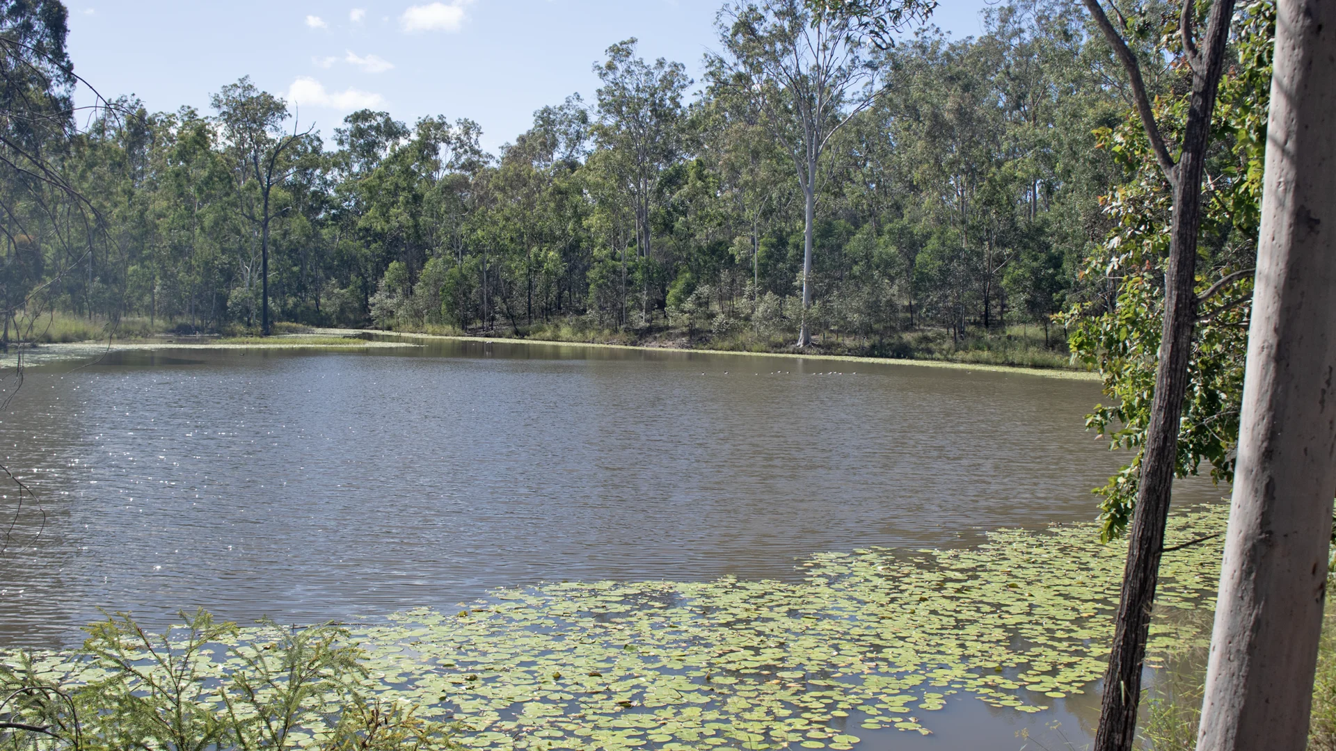 Lot 1/MPH22711 Burnett Highway, Eidsvold QLD 4627