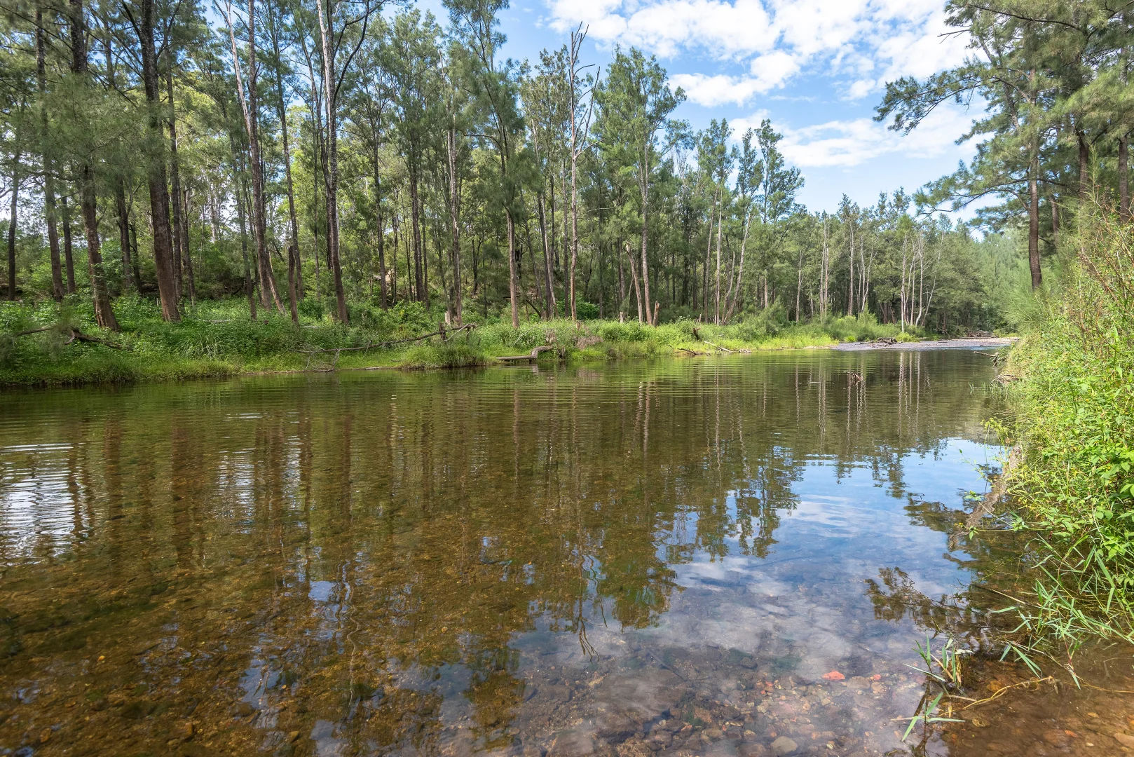 Additional image 21 of 2593 Araluen Road, Deua River Valley NSW 2537