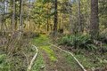 Additional image 31 of 41224 SE 71st St, Snoqualmie, WA, 98065
