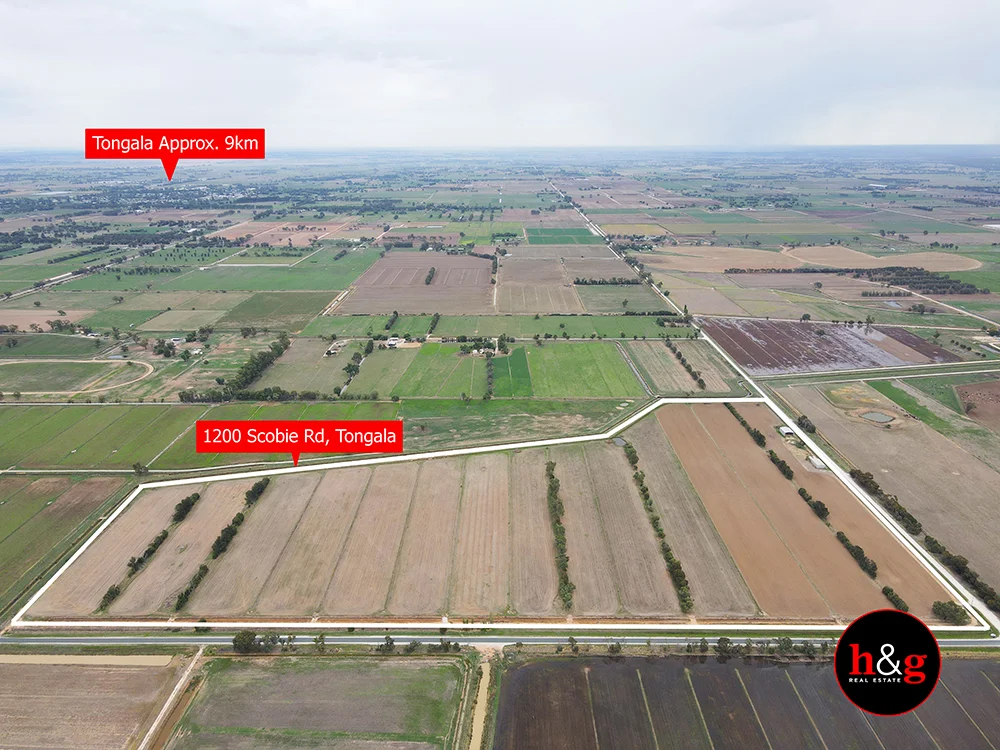 Additional image 9 of 1200 Scobie Road, Tongala VIC 3621