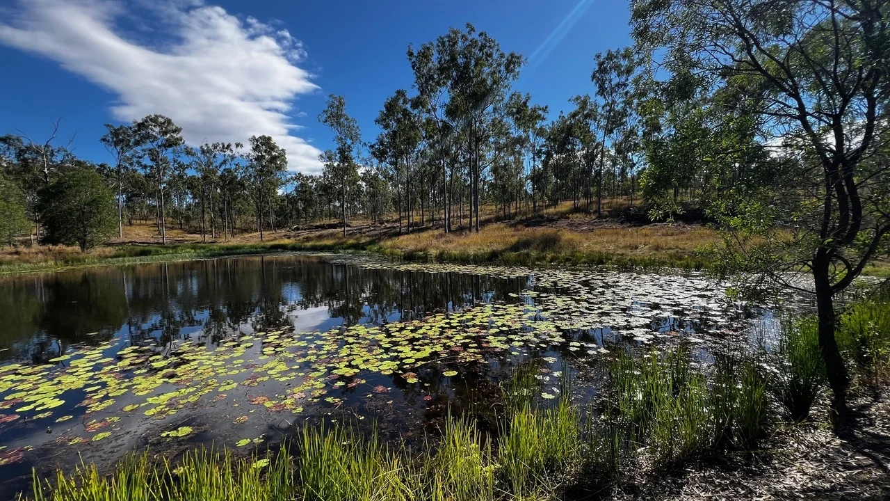 Additional image 15 of 26 Brown N Rd, Teebar QLD 4620