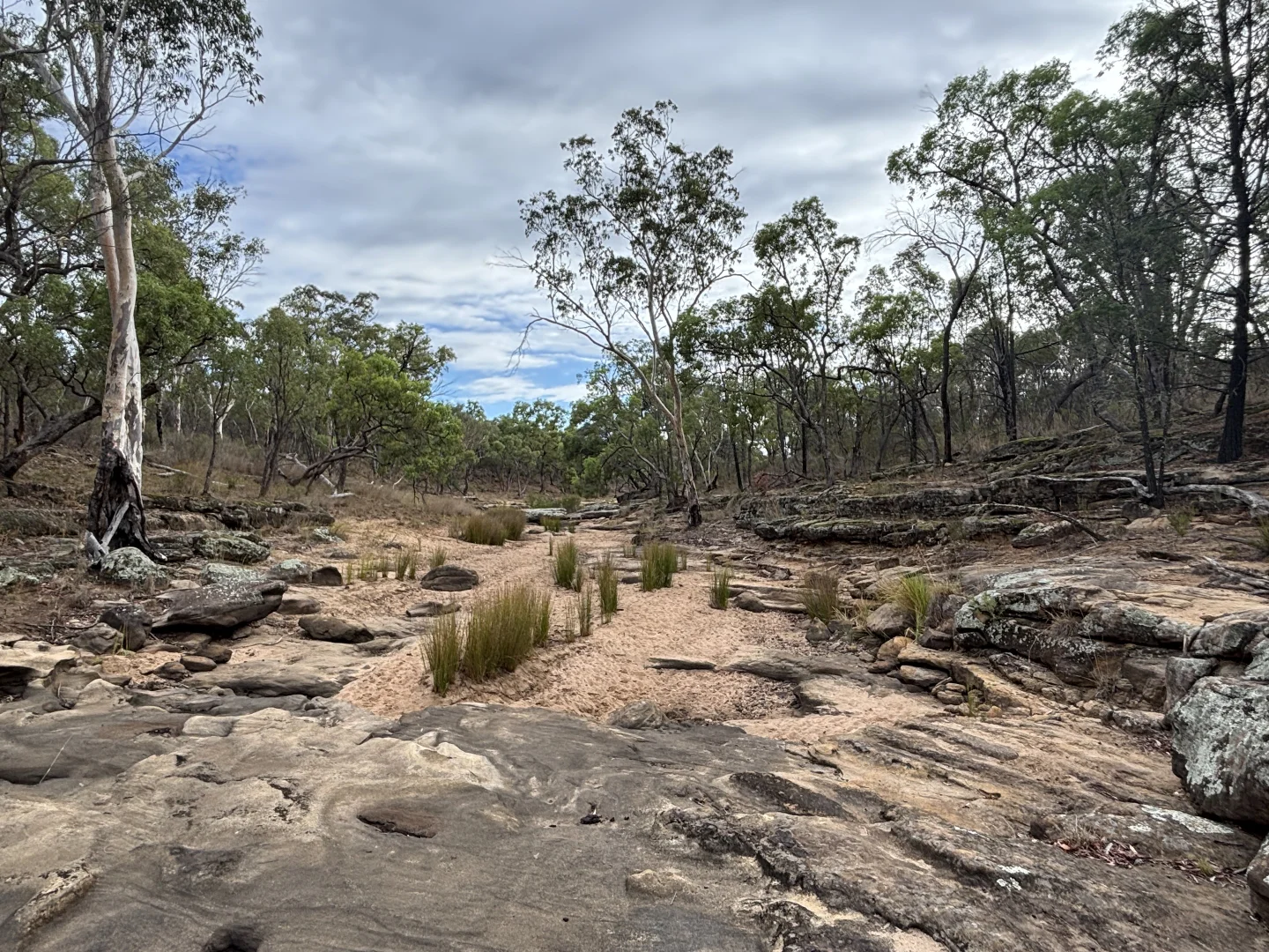 Additional image 21 of 2875 Newell Highway, Rocky Glen NSW 2357