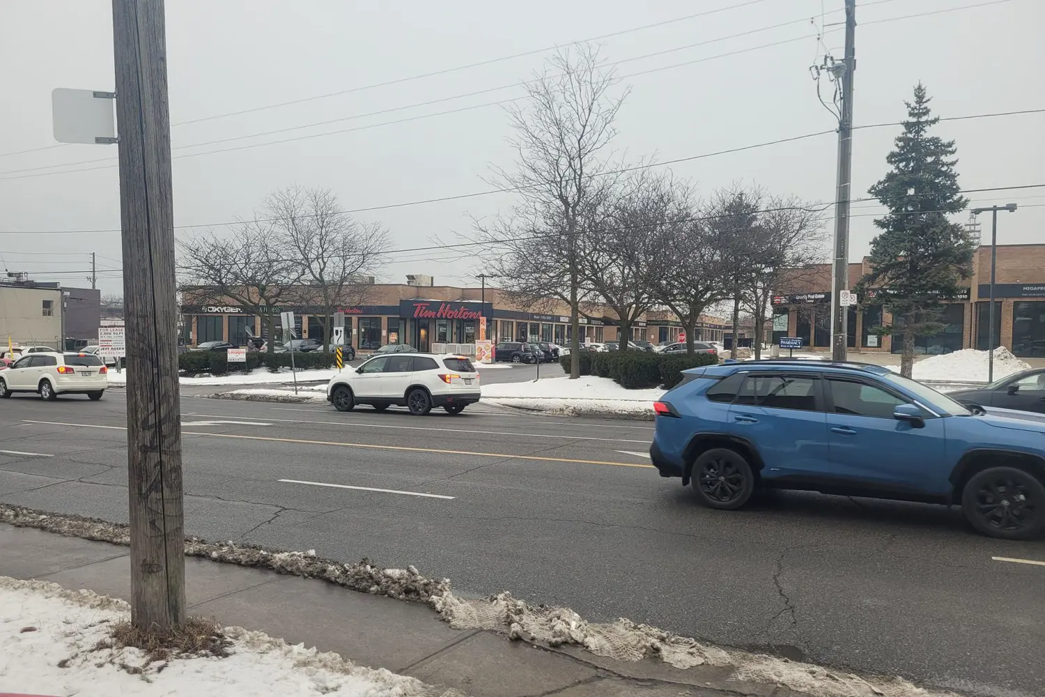 2497 Dufferin Street photo 4