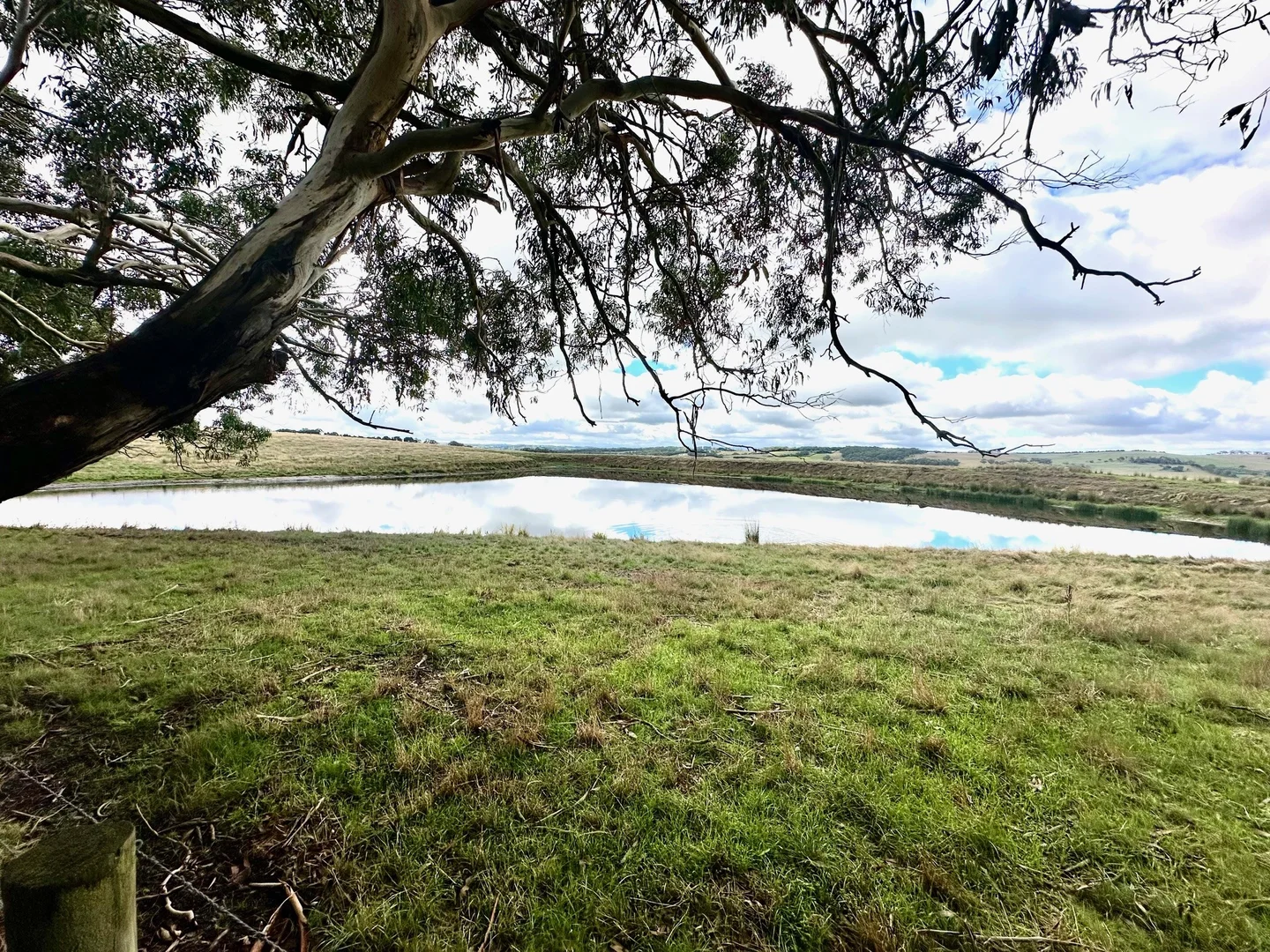 Additional image 3 of 161 Koonwarra Pound Creek Road, Leongatha South VIC 3953