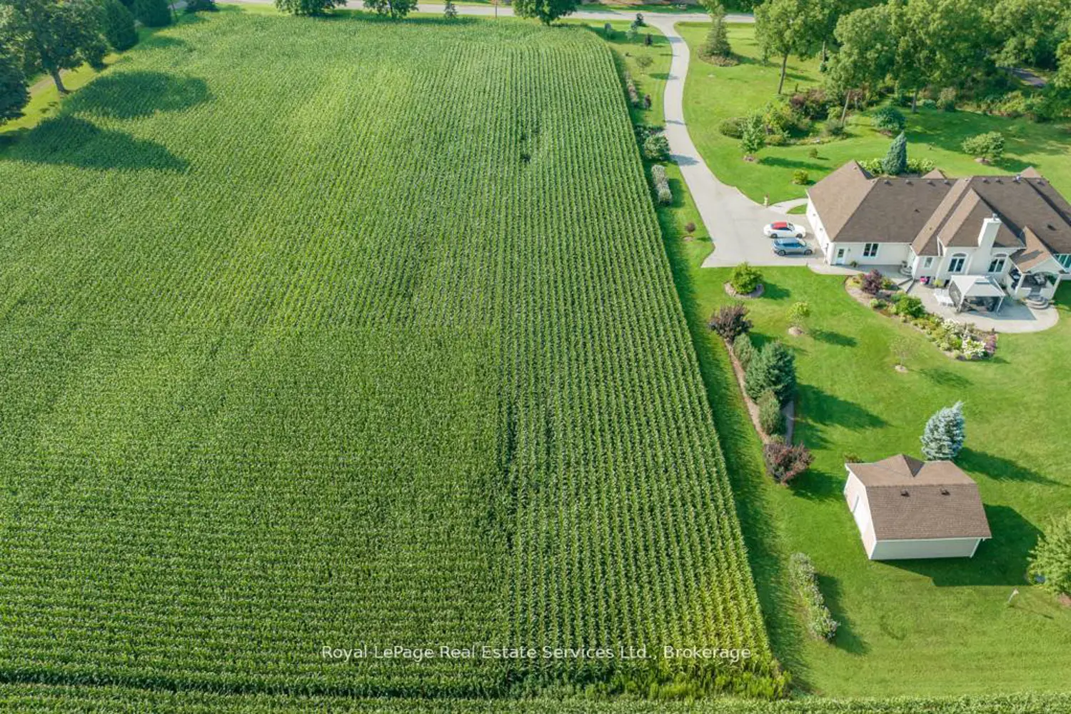 Additional image 7 of 361 Robinson Road
