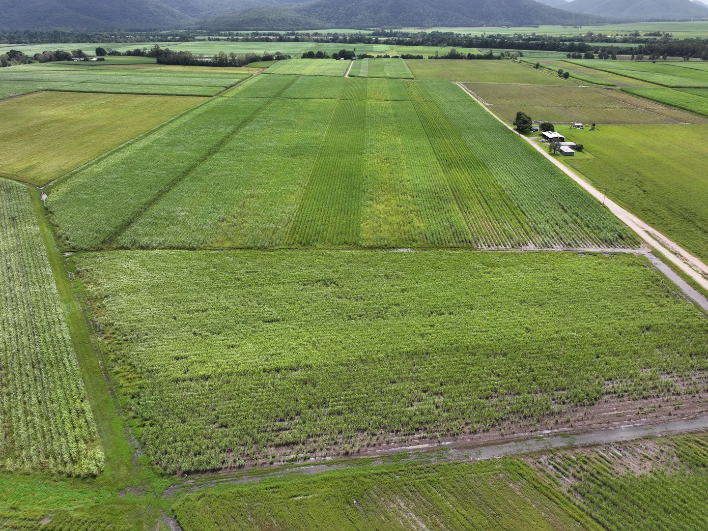 Additional image 3 of 962 Abergowrie Road, Trebonne QLD 4850