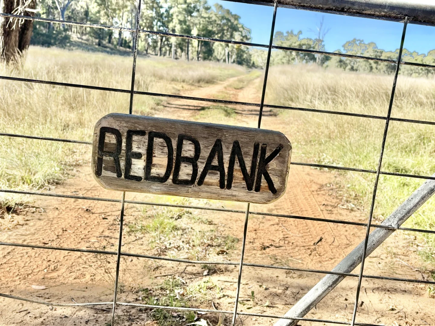 2875 Newell Highway, Rocky Glen NSW 2357