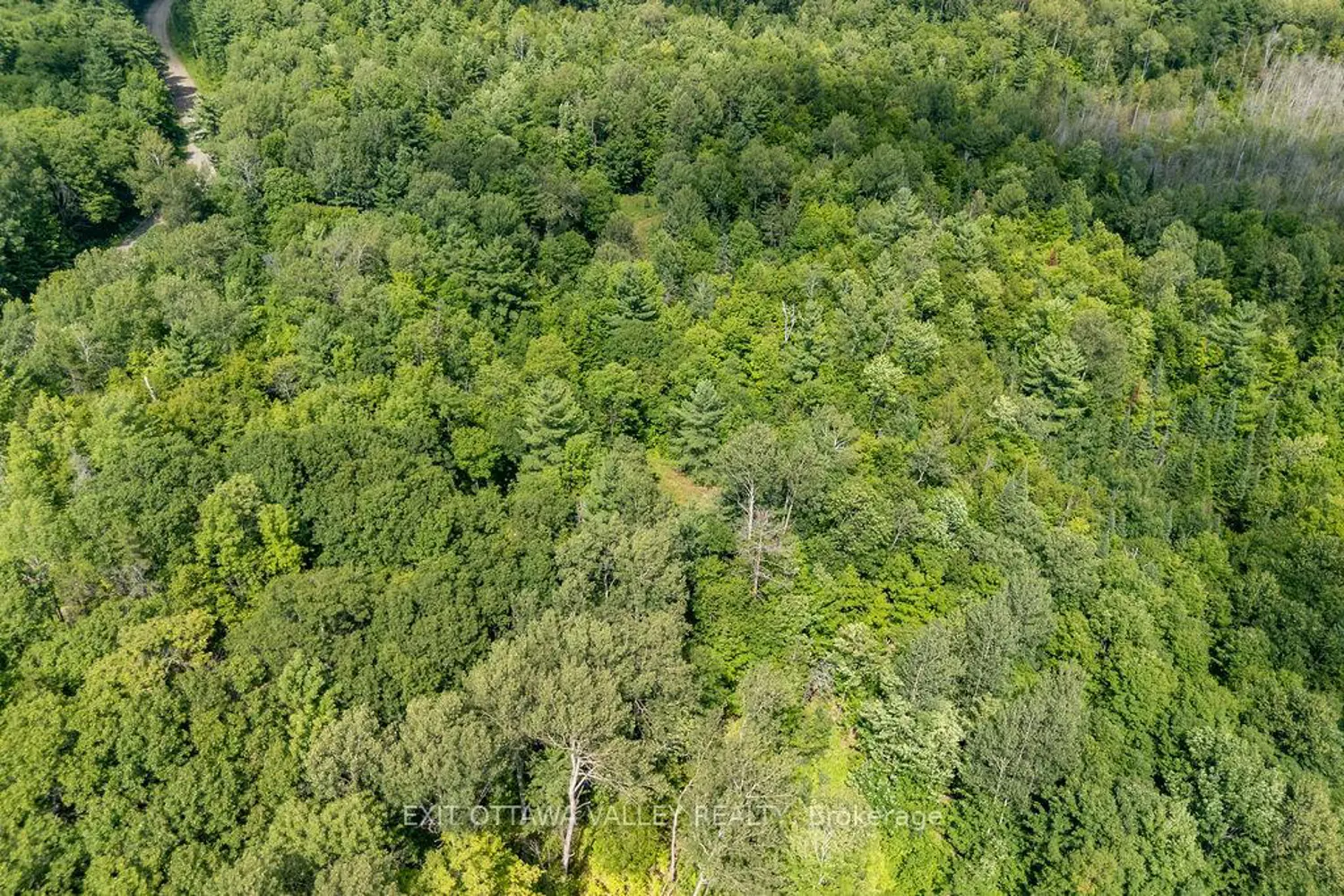 992 Mcgrath Road photo 2