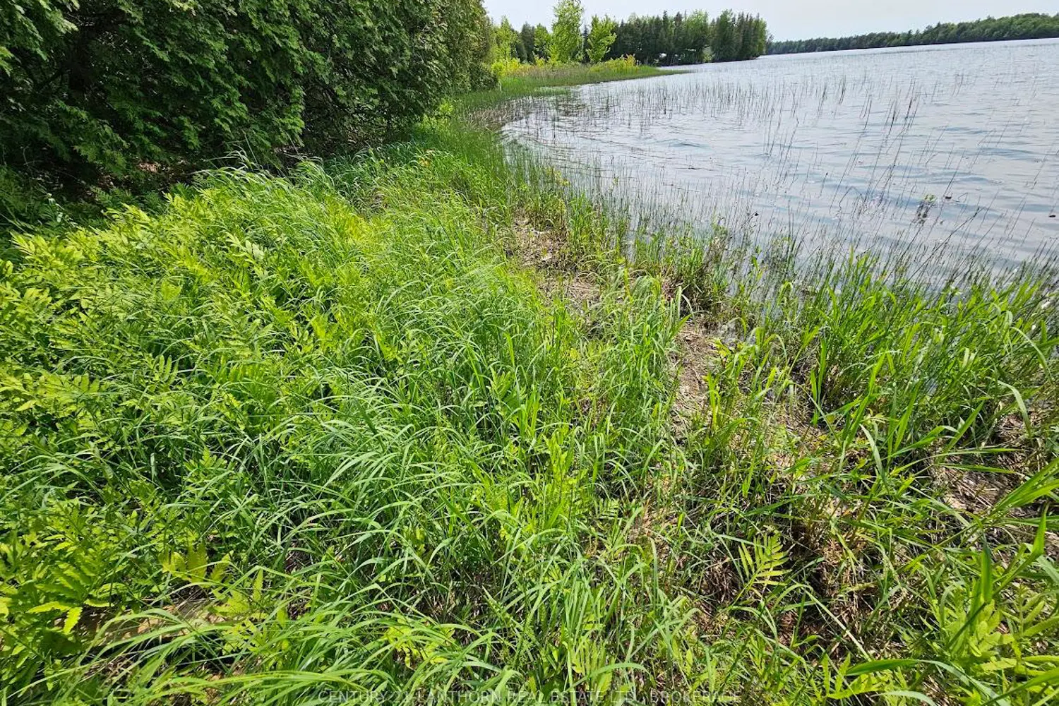 Additional image 14 of 0000 Cedarstone Road