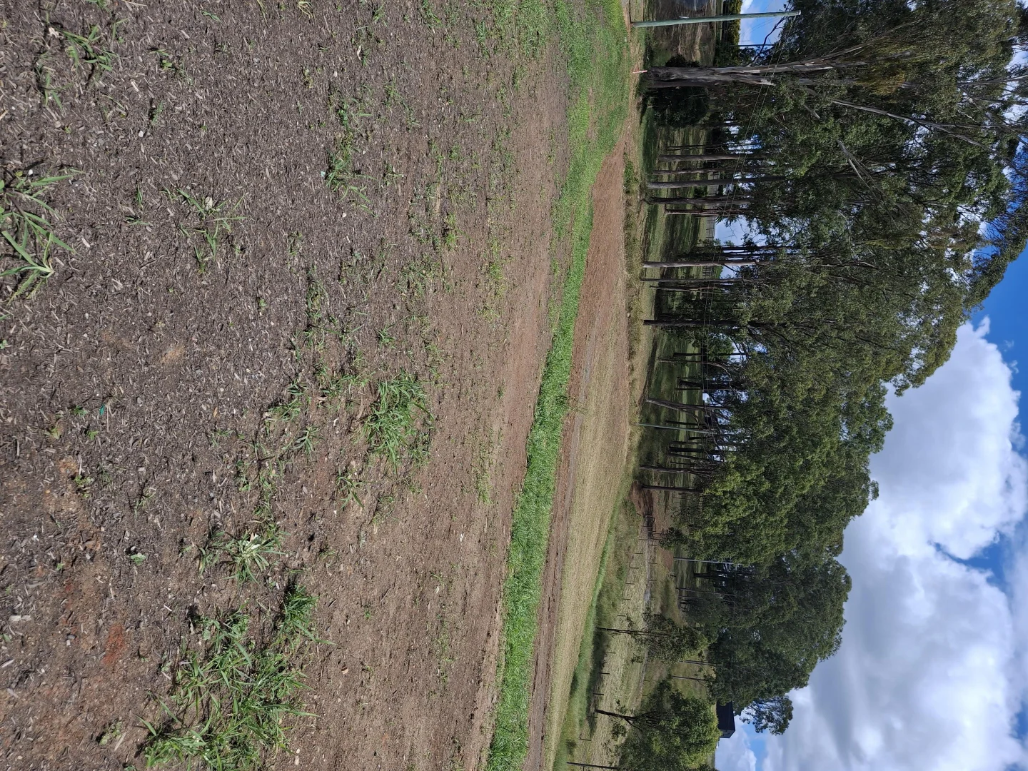 Additional image 2 of Lot 31 Millstream Road, Veresdale Scrub QLD 4285