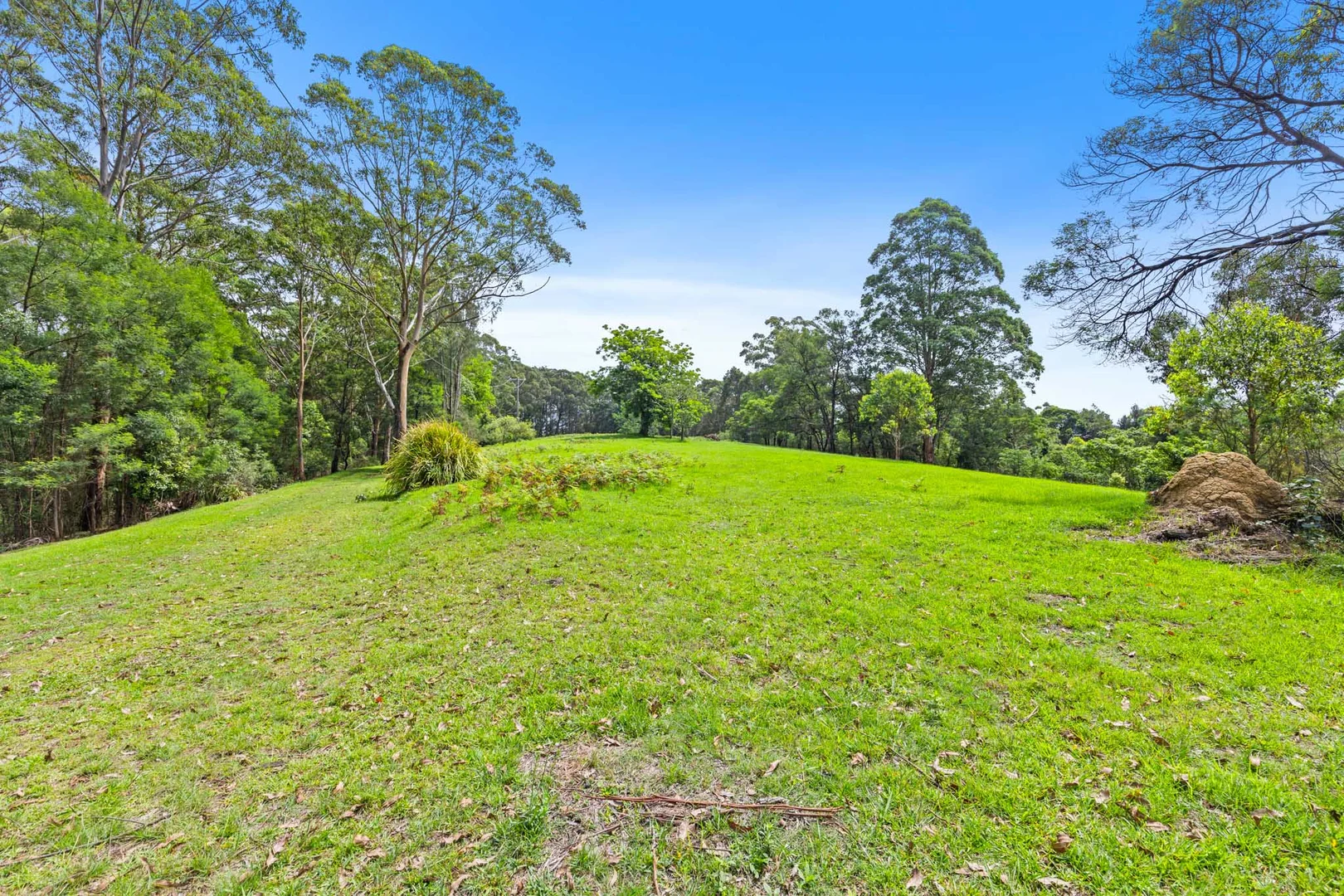 Additional image 6 of 618 Woodburn Road, Morton NSW 2538