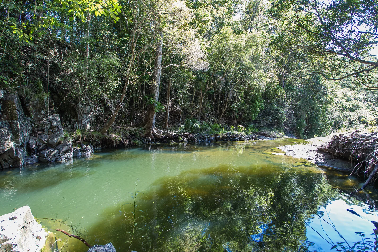 Additional image 4 of 85 Ruwoldts Road, West Woombye QLD 4559
