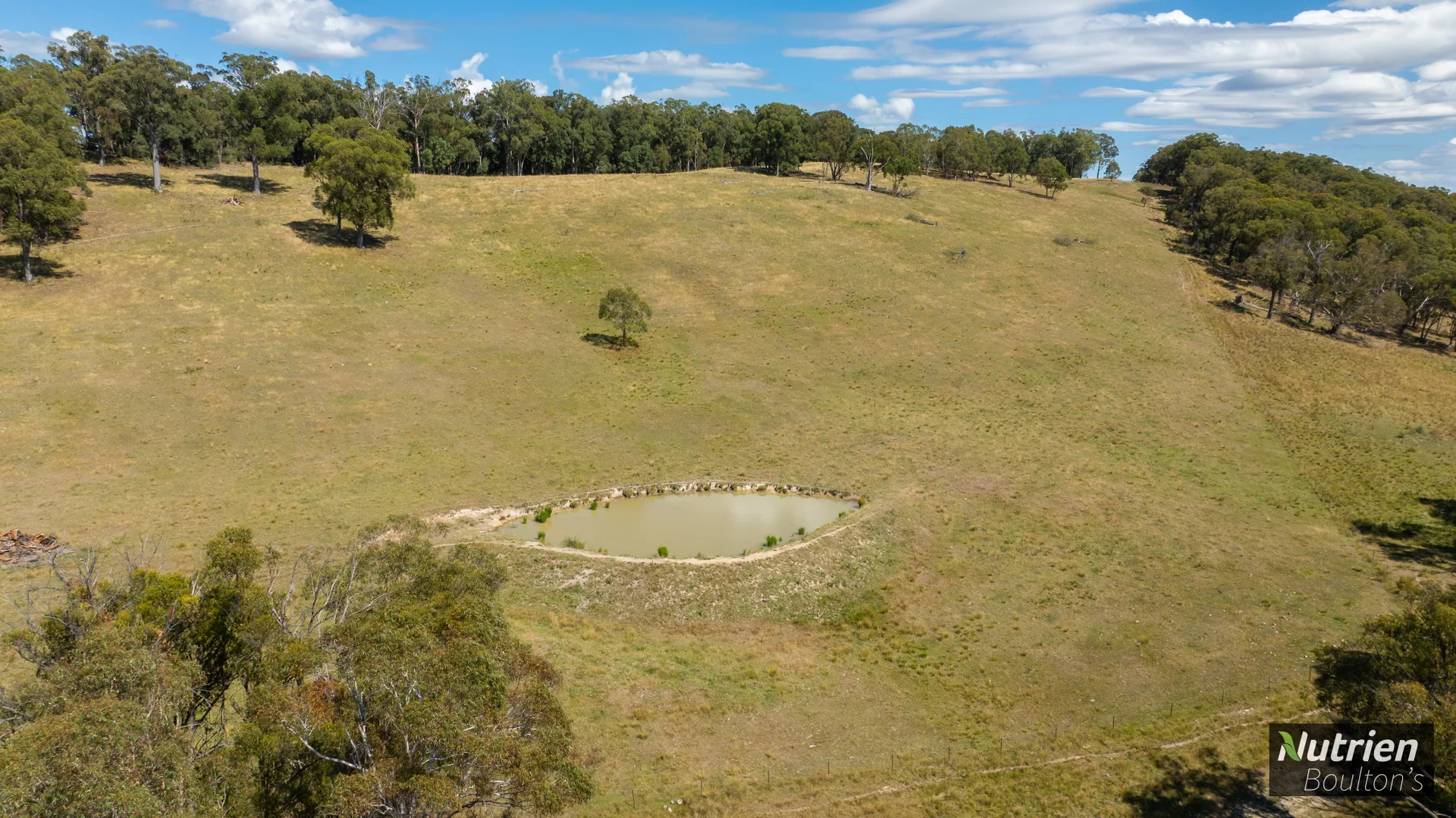 Additional image 42 of 224 Niangala-Walcha Road, Niangala NSW 2354