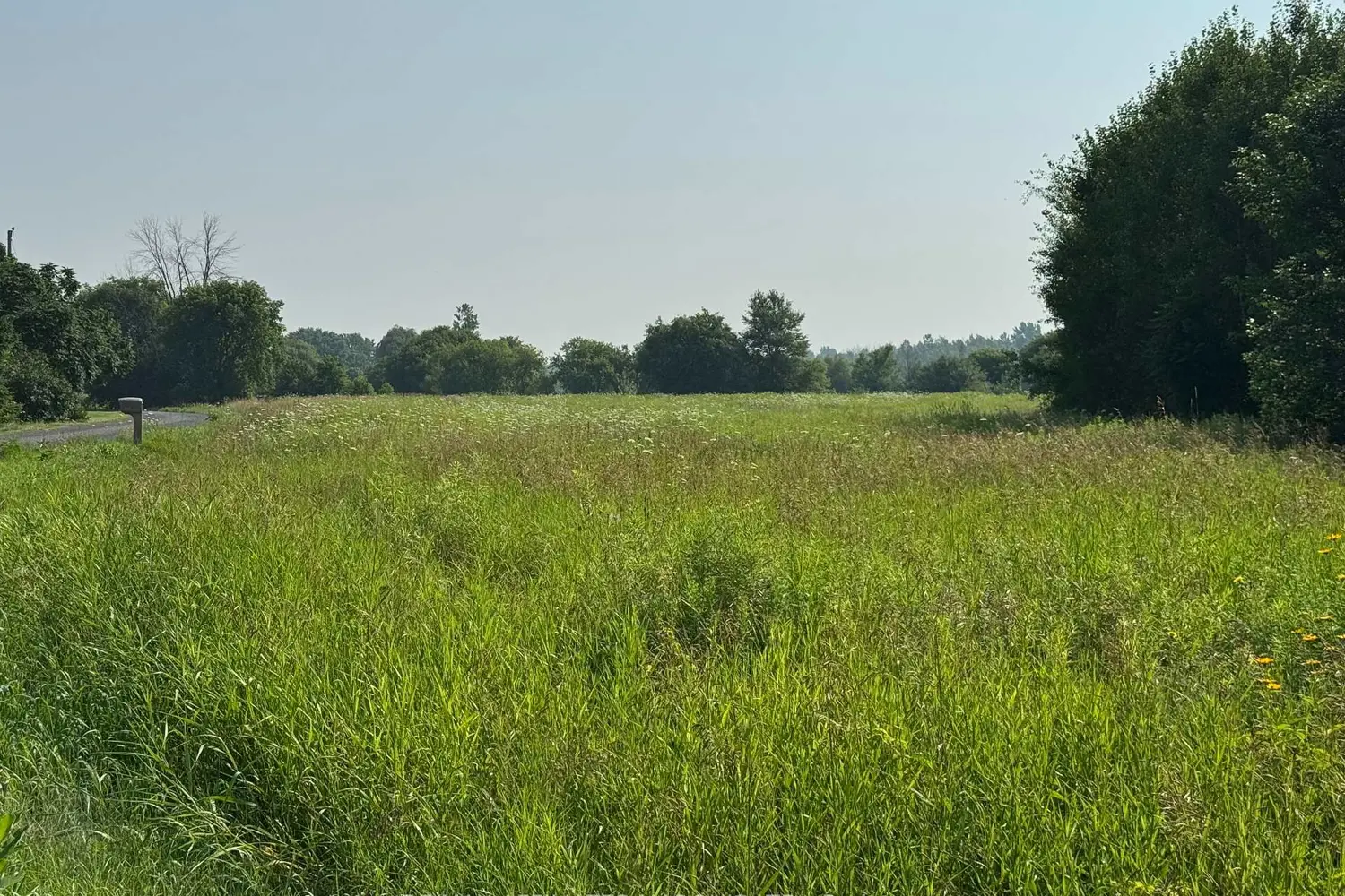 Lot South Branch Road