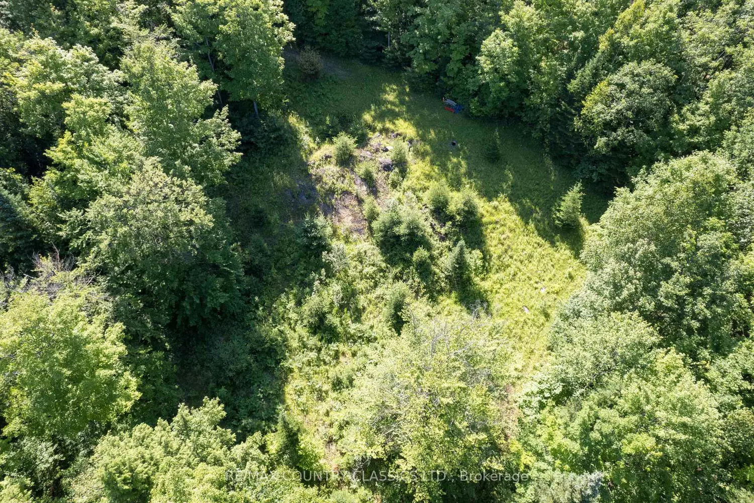 Additional image 6 of 1805 Bay Lake Road