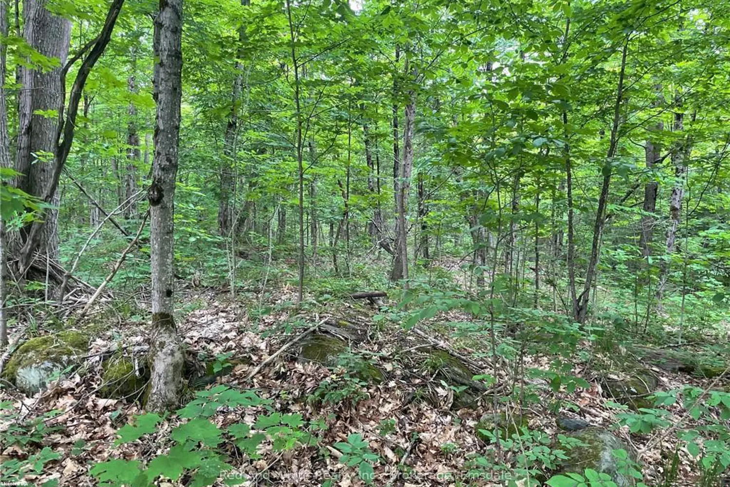 Additional image 3 of 23 Ahmic Lake Road