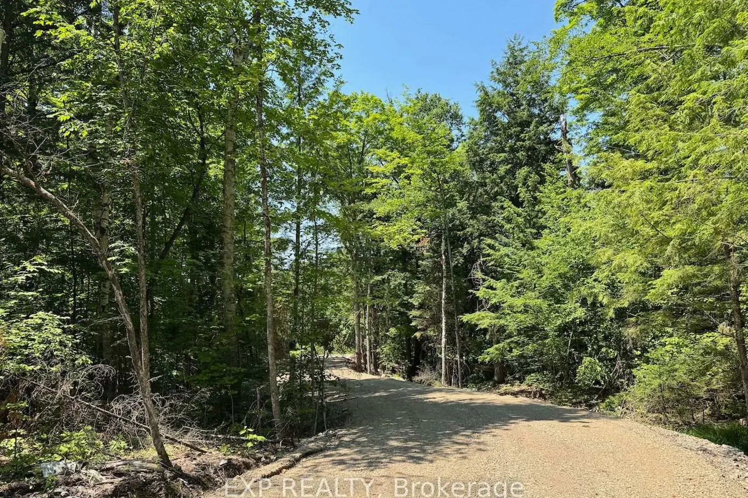 Lot 6 Lakewoods Drive photo 5