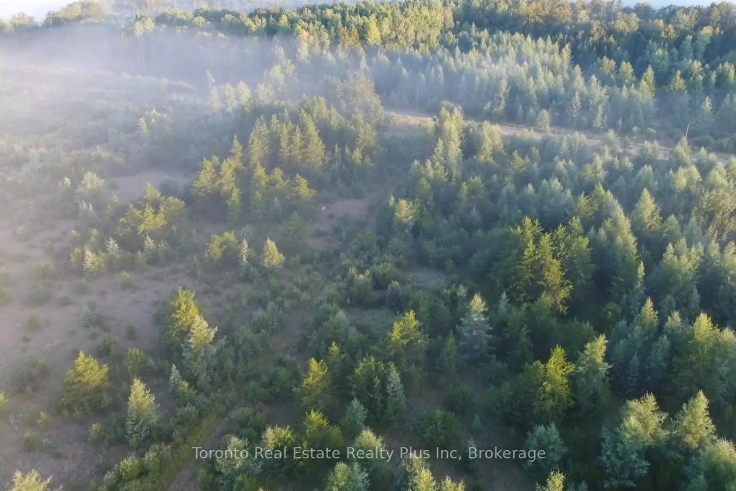 Additional image 4 of L3 C 5 Grouse Road