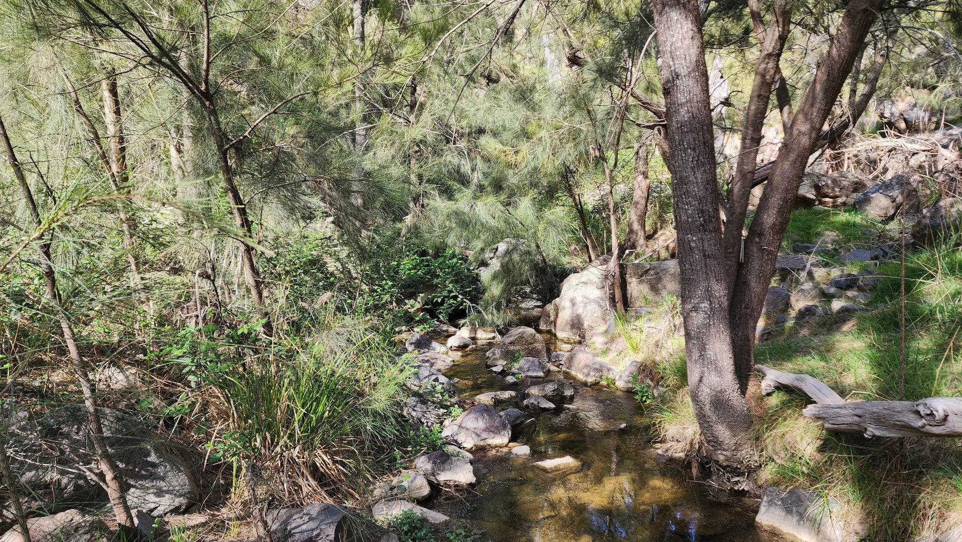 Additional image 23 of 143 Rochford Road, Wallaroo NSW 2618