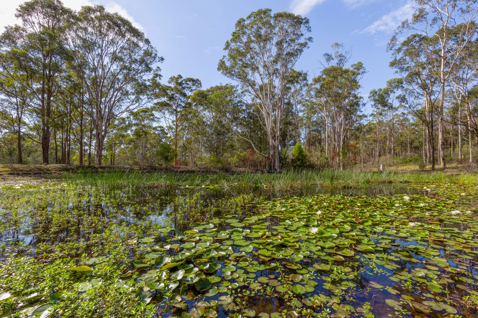 Additional image 11 of 628 Limeburners Creek Road, Clarence Town NSW 2321
