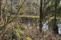 Additional image 23 of 23904 E Lake Kayak Dr, Monroe, WA, 98272
