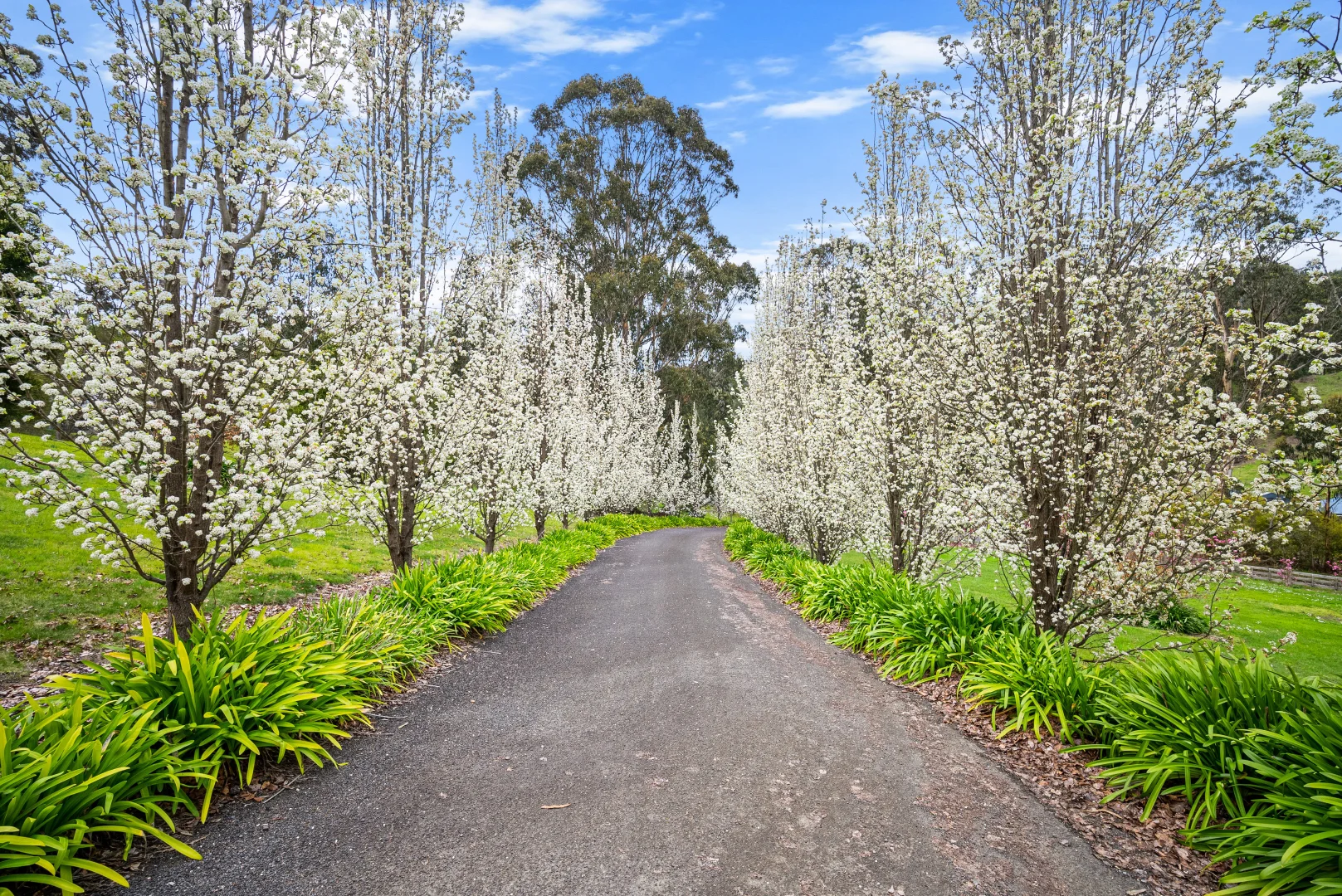 Additional image 6 of 1557 Traralgon Creek Road, Koornalla VIC 3844