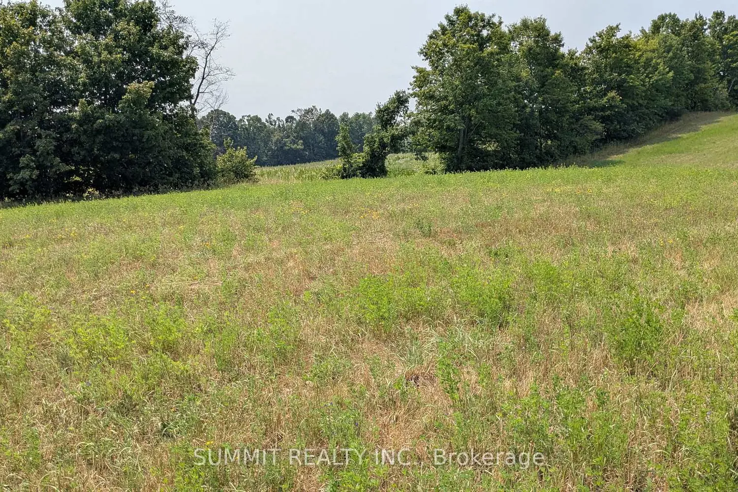 Additional image 3 of 16419 Hwy 62