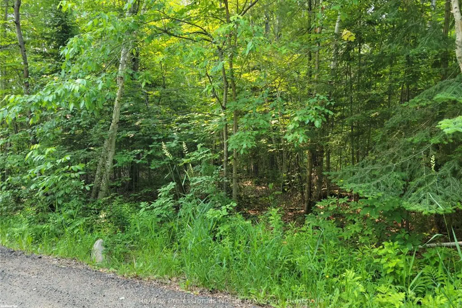 29 Mount Vernon Trail 29