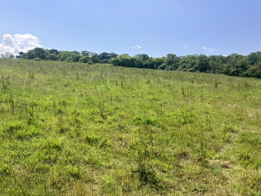Additional image 11 of Land for salePuriton Hill, Puriton, Bridgwater, Somerset TA7