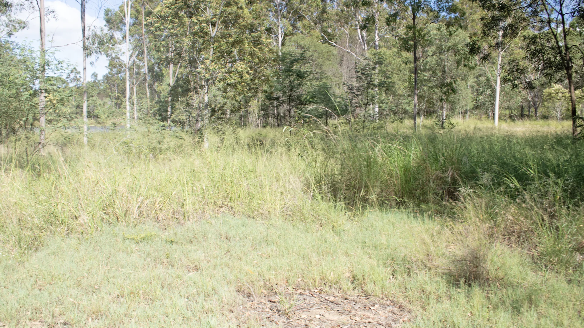 Lot 1/MPH22711 Burnett Highway, Eidsvold QLD 4627 photo 3