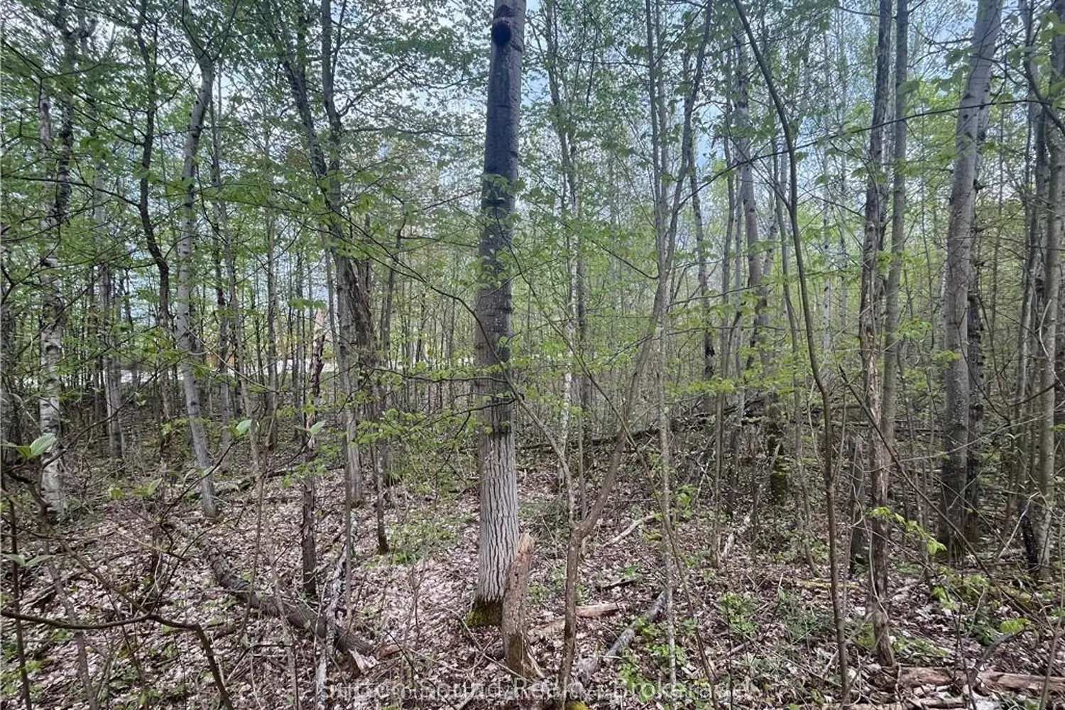 Additional image 3 of Lot 6 Grey Road 1