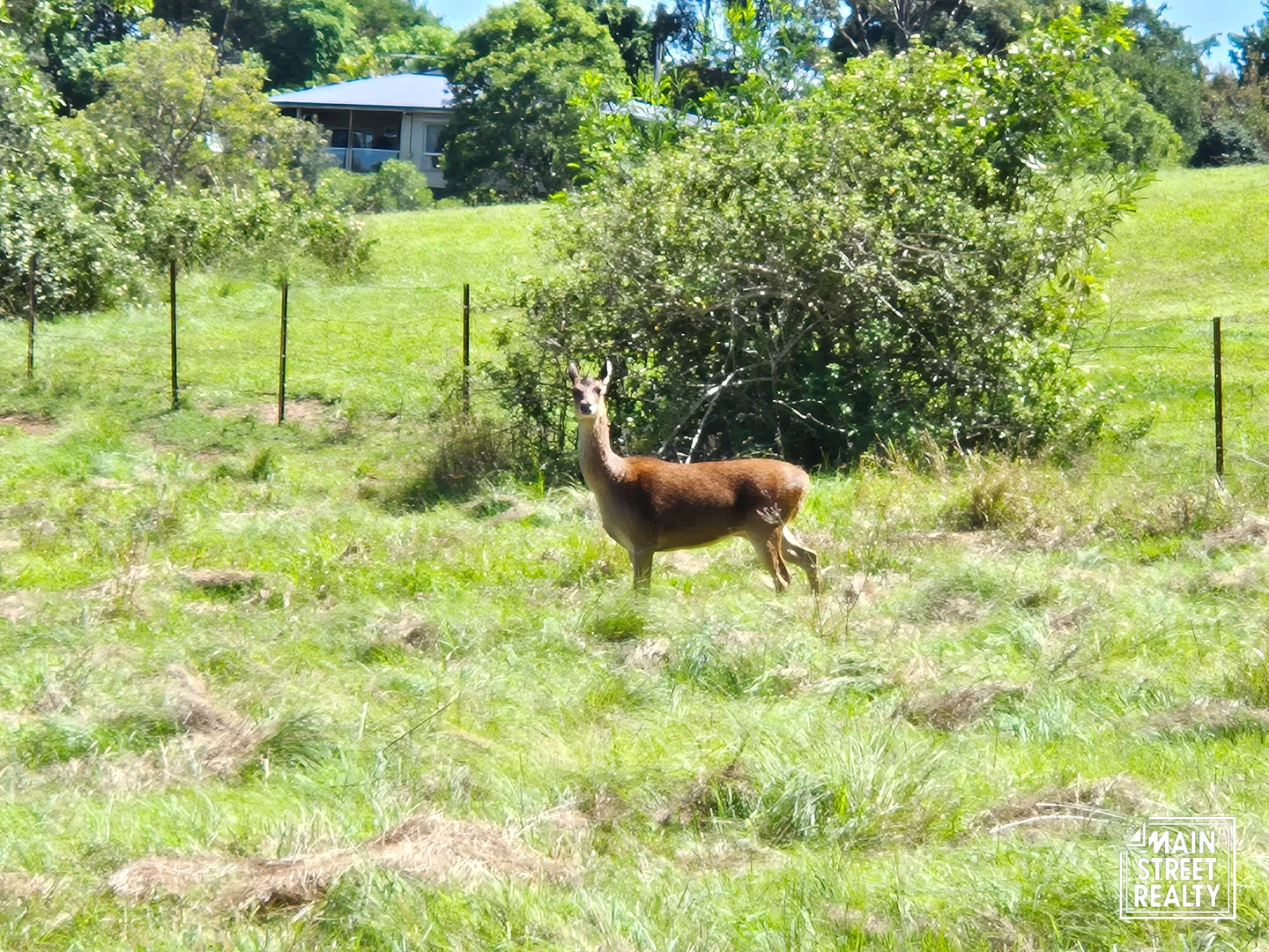 Additional image 7 of Lot 4 Greenhills Drive, Blackbutt QLD 4314