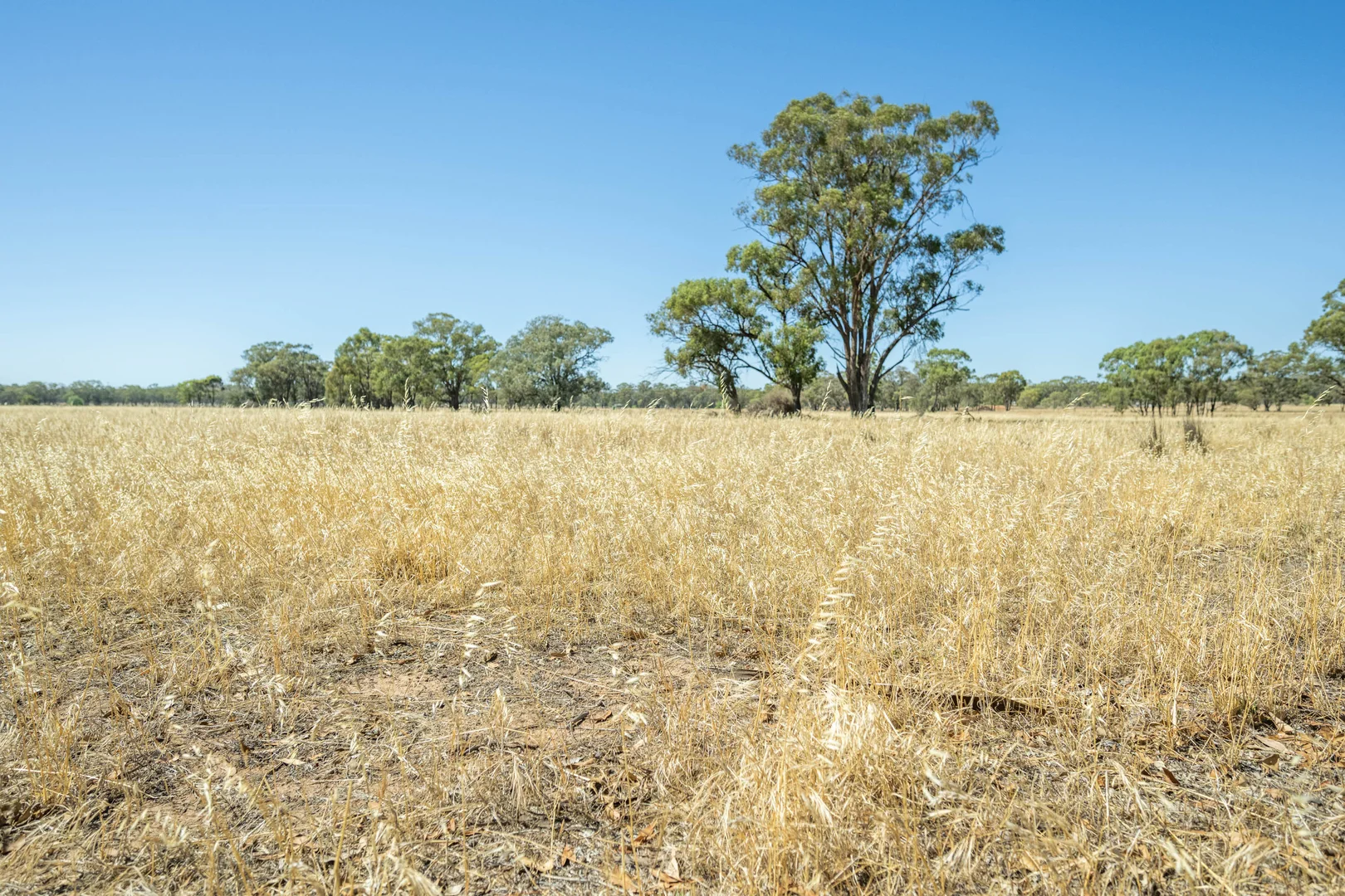 Additional image 11 of 1 Old Corop Road, Rushworth VIC 3612