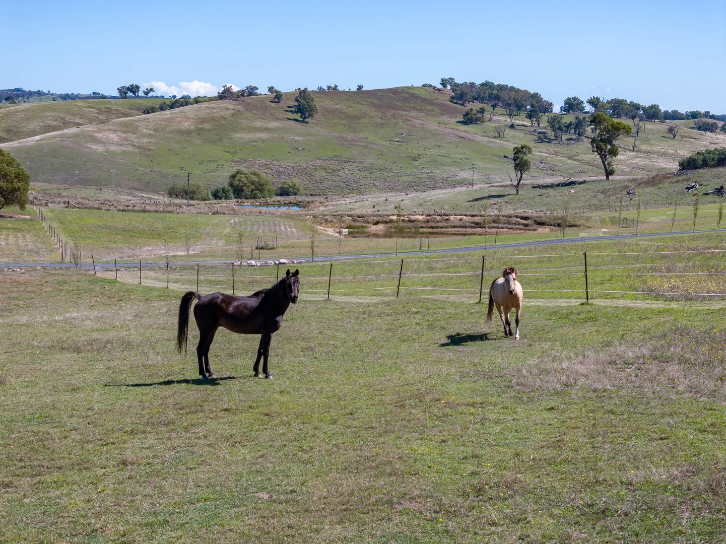 Additional image 41 of 1873 Peelwood Road, Laggan NSW 2583