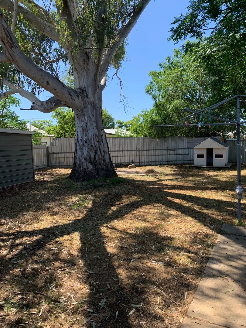 Additional image 2 of Mount Austin NSW 2650