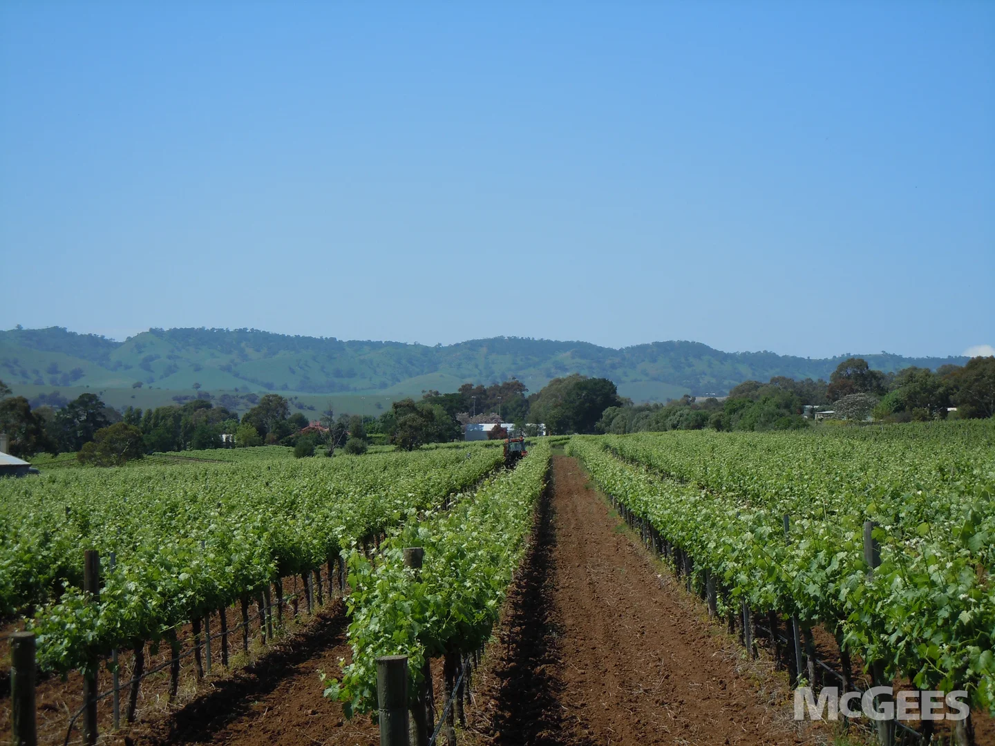 Additional image 5 of 1234 Barossa Valley Way, Lyndoch SA 5351